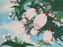 樱花 GIF - Cherry Blossom Japan Sakura GIFs