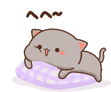 cat morning funny cute lazy cat morning funny cute lazy