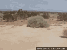 keanu reeves tumbleweed gif keanu reeves tumbleweed gif