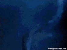 Flipper Splash GIF - Flipper Splash Dolphin GIFs