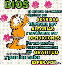 Frases De Dios GIF - Garfield Dios GIFs