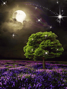 Night Moon GIF - Night Moon Tree GIFs