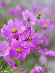 Flower Purple Flowers GIF - Flower Purple Flowers Butterfly GIFs
