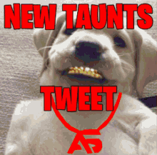 New Taunts Tweet Taunts Noti GIF - New Taunts Tweet Taunts Taunts Tweet GIFs