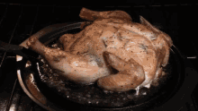 Cooking Turkey GIF - Cooking Turkey Turkey GIFs