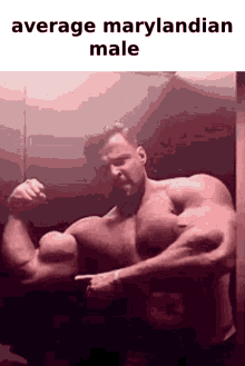 maryland marylandian marylandian male chad maryland chad maryland marylandian marylandian male chad maryland chad