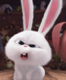 Bunny What GIF - Bunny What Emote GIFs
