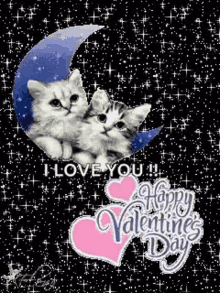 I Love You Happyy Valentines Day GIF - I Love You Happyy Valentines Day Cats GIFs