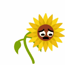 sad lonley sun flower flower shocked