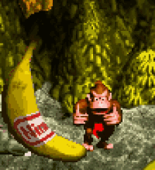 Donkey Kong GIF - Donkey Kong Winner GIFs