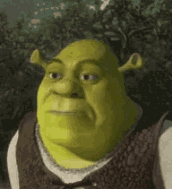 Shrek Meme GIFs | Tenor