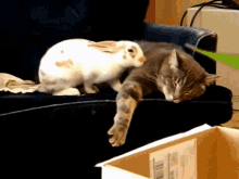 Move Over For Me GIF - Move Over Make Room Animal Friends GIFs