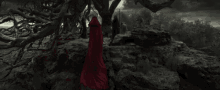 Sorceress Witch GIF - Sorceress Witch Going Up GIFs