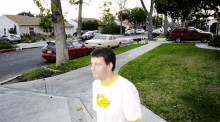rex orange county sunflower rex orange county sunflower