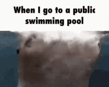 Public Swimming Pool Shark Whale GIF - Public Swimming Pool Pool Public GIFs