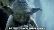 Star Wars Yoda GIF - Star Wars Yoda Patience GIFs