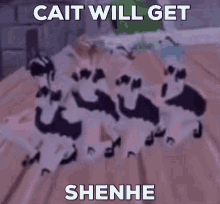 Cait Will Get Shenhe GIF - Cait Will Get Shenhe Shenhe Cait GIFs