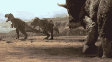 Triceratops Challenging GIF - Triceratops Challenging Trex GIFs