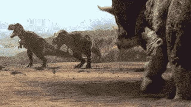 Triceratops Challenging GIF - Triceratops Challenging Trex GIFs