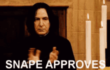 Snape Approves GIF - Snape Approves Harry Potter GIFs