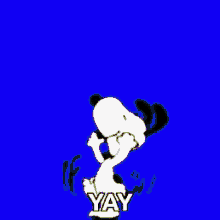 Yay Snoopy GIF - Yay Snoopy Happy GIFs