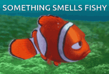 Something Smells Fishy Fishy Smell GIF - Something Smells Fishy Fishy Smell GIFs