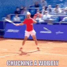 Chucking A Wobbly Temper Tantrum GIF - Chucking A Wobbly Temper Tantrum Novak Djokovic GIFs
