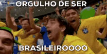 Sou Brasileiro E Não Desisto Nunca / Orgulho Brasileiro / Copa Do Mundo / Taça GIF - Brazilian Brazilian Pride World Cup GIFs