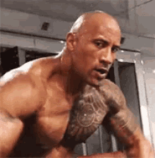 The Rock GIF - The Rock Dwayne Johnson Bodybuilder GIFs
