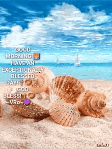 Daytime Shells GIF - Daytime Shells Sailboat GIFs