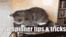 osu spinner tips trick fieryrage