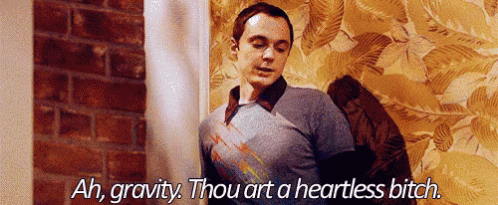 Sheldon Heartless Bitch GIF.