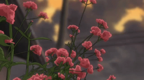 Aesthetic Flowers Gif Aesthetic Flowers Sun Discover Share Gifs