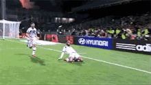 olympiquelyonnais olympique lyonnais lyon ol olympiquelyonnais olympique lyonnais lyon ol
