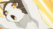Anime Animu GIF - Anime Animu Cat GIFs