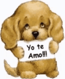 Dog Yo Te Amo GIF - Dog Yo Te Amo GIFs