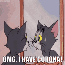 corona covid corona positive tom and jerry tom the cat corona covid corona positive tom and jerry tom the cat