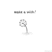 Wish Make A Wish GIF - Wish Make A Wish GIFs