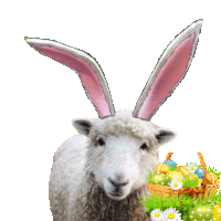 Oyz Sheep Sticker - Oyz Sheep Easter Stickers