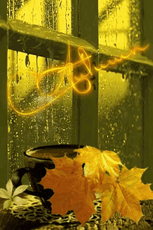 Autumn Fall Season GIF - Autumn Fall Season Leaves Changing GIFs