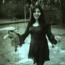 shahnaz tehrani shahnaz tehrani iran dance shahnaz tehrani shahnaz tehrani iran dance