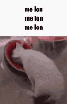 Cat Melon GIF - Cat Melon GIFs