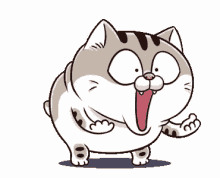 ami fat cat shocked shouting surprised
