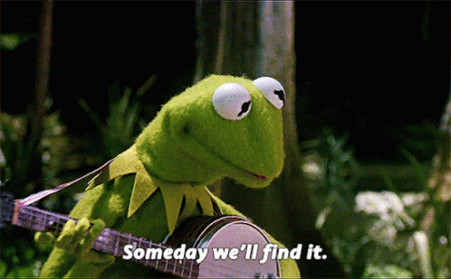 kermit-someday-well-find-it.gif