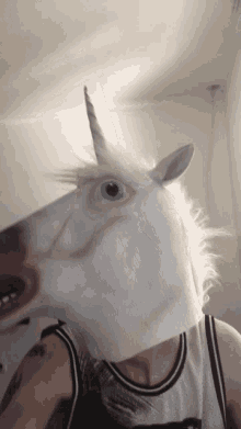 Horse Mask Unicorn Mask GIF - Horse Mask Mask Unicorn Mask GIFs