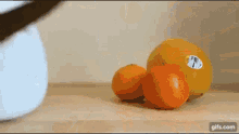 Cats Umor GIF - Cats Umor Fiends GIFs