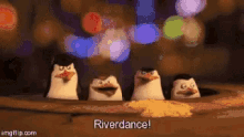 Penguins Of Madagascar Riverdance GIF - Penguins Of Madagascar Riverdance Shanghai GIFs