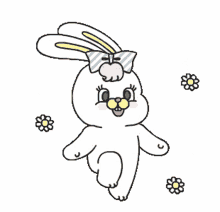 animal bunny