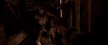 doom 2005 doom 2005