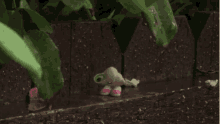 Marcel The GIF - Marcel The Shell GIFs